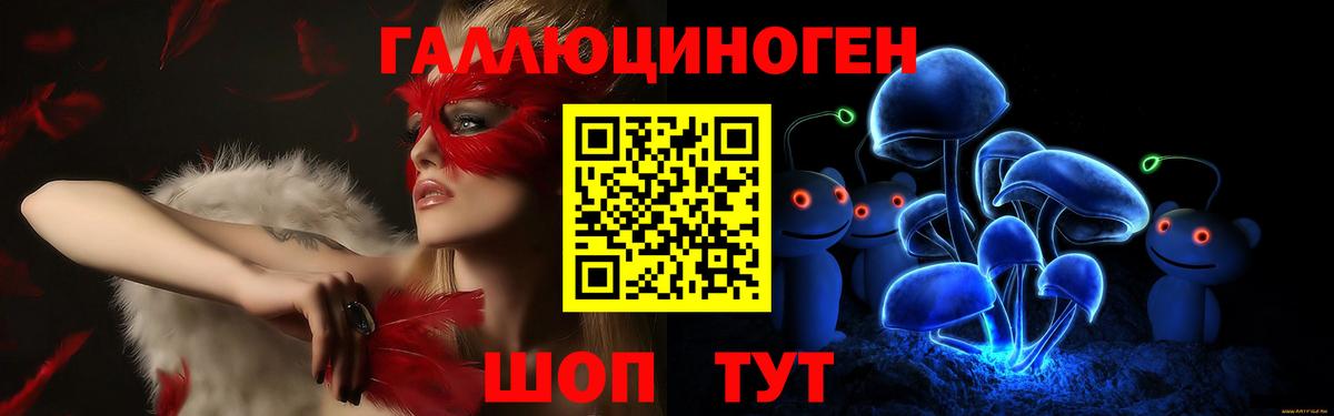 Псилоцибиновые грибы Magic Shrooms  Вход с VPN  Бердск 